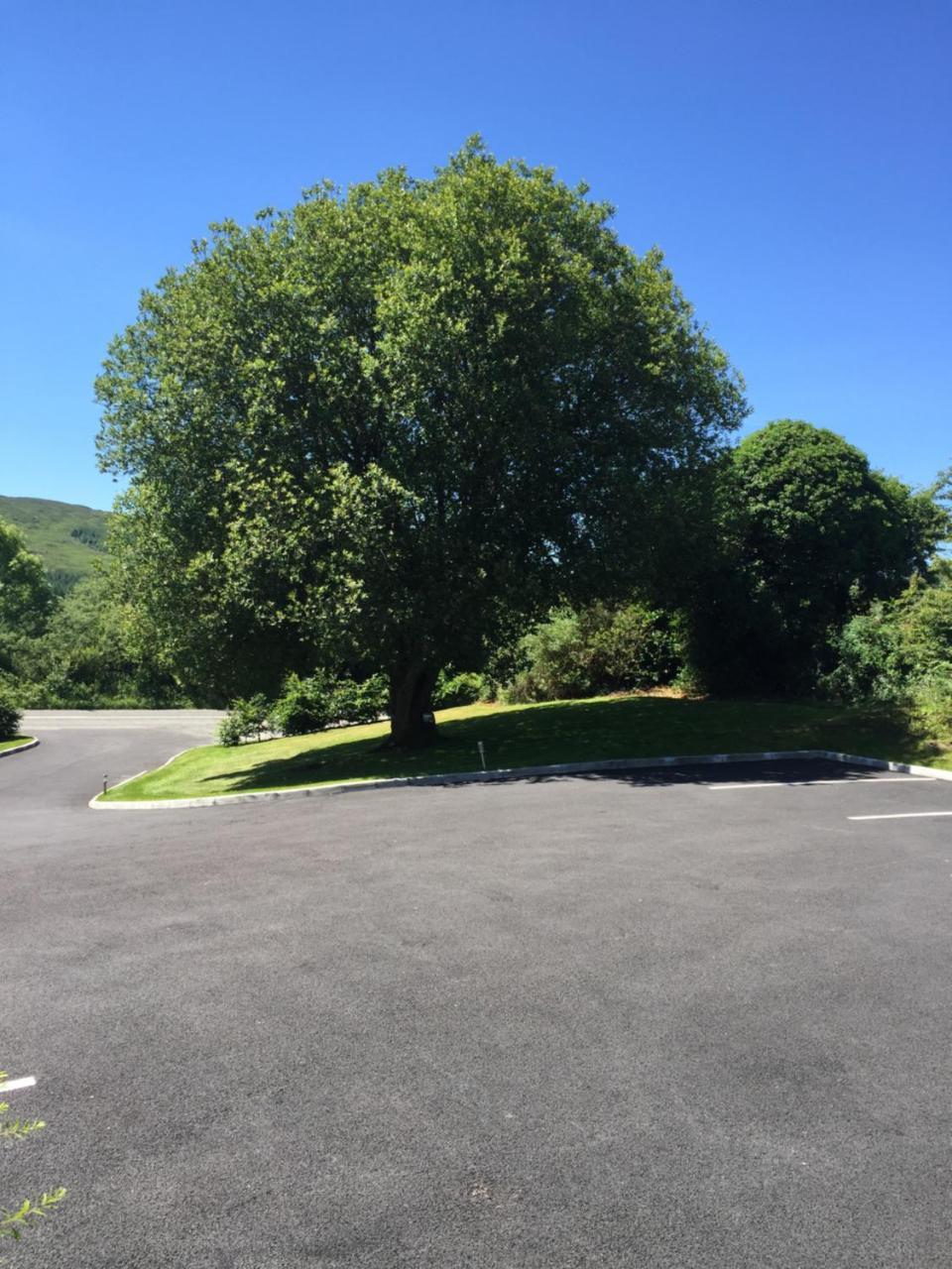 2 Mile Lodge Kenmare Exteriör bild